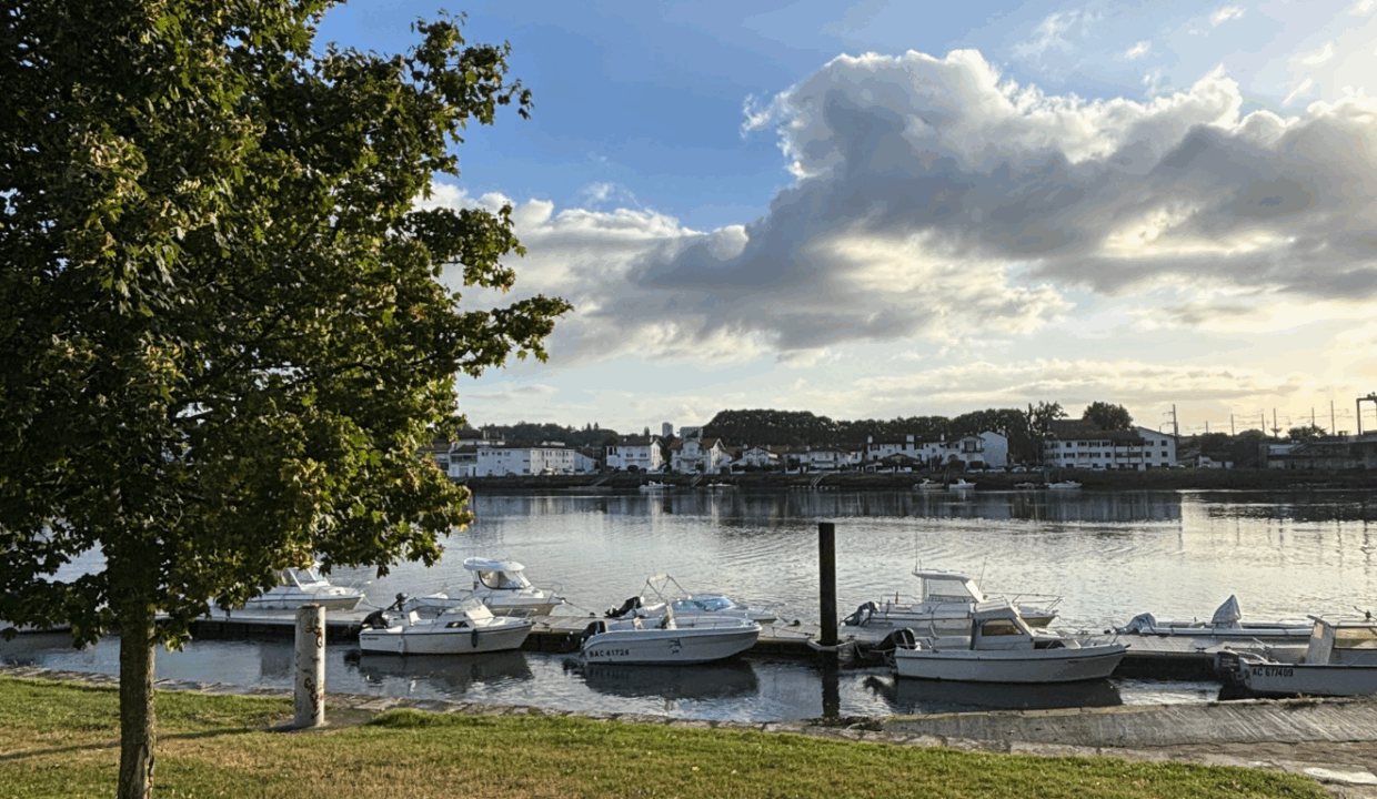 Local Commercial A Vendre Bayonne Agence Immobiliere Nomade 3